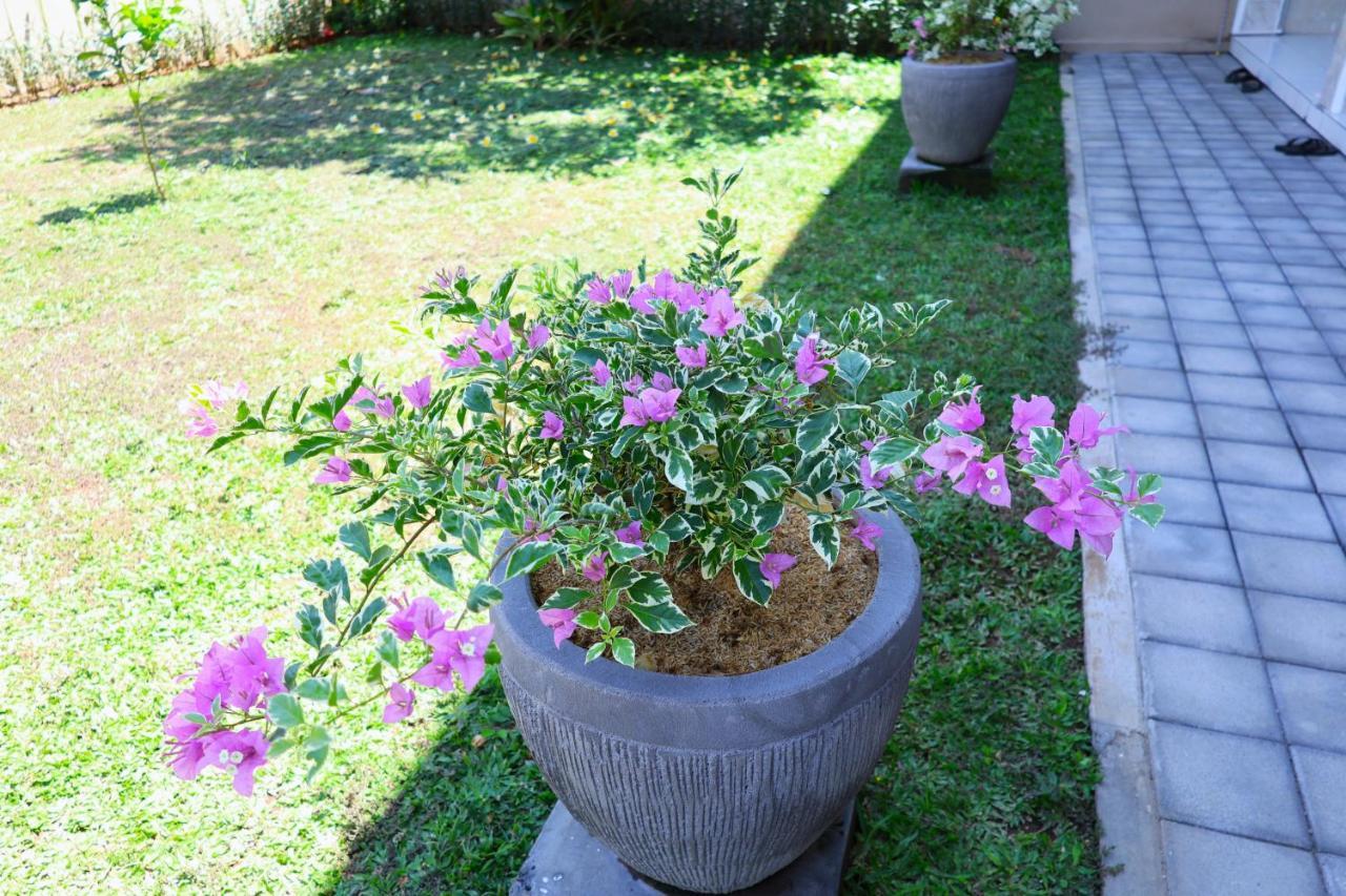 Pondok Dete Guesthouse Sanur Esterno foto